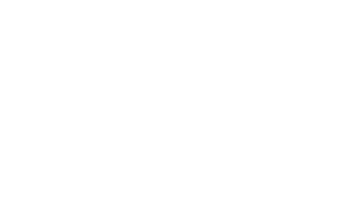 Logo Valuemate Blanc